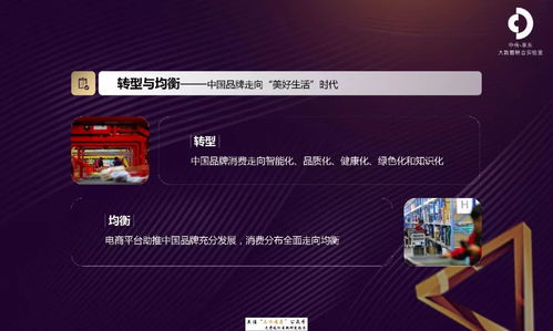 京东2018互联网中国品牌发展报告 互联网销售的新纪元